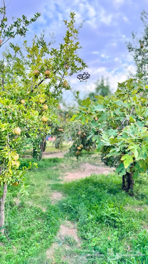 رمان بيده الباحه64447745554434114