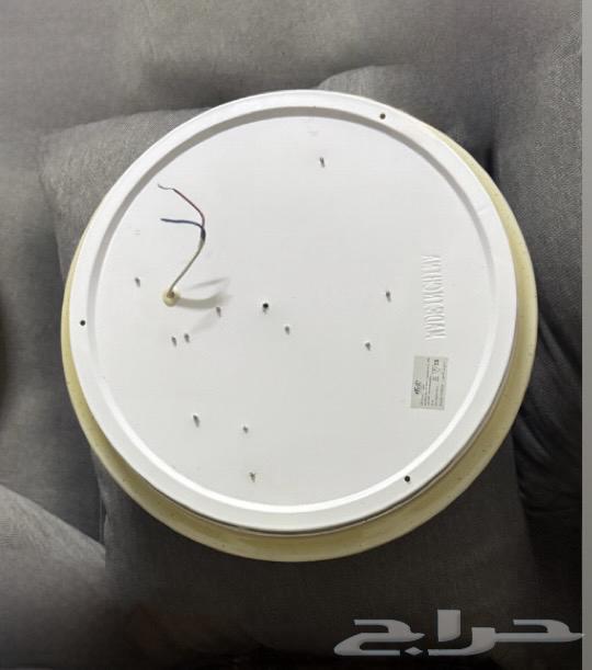 Light bulbs64444070082049112