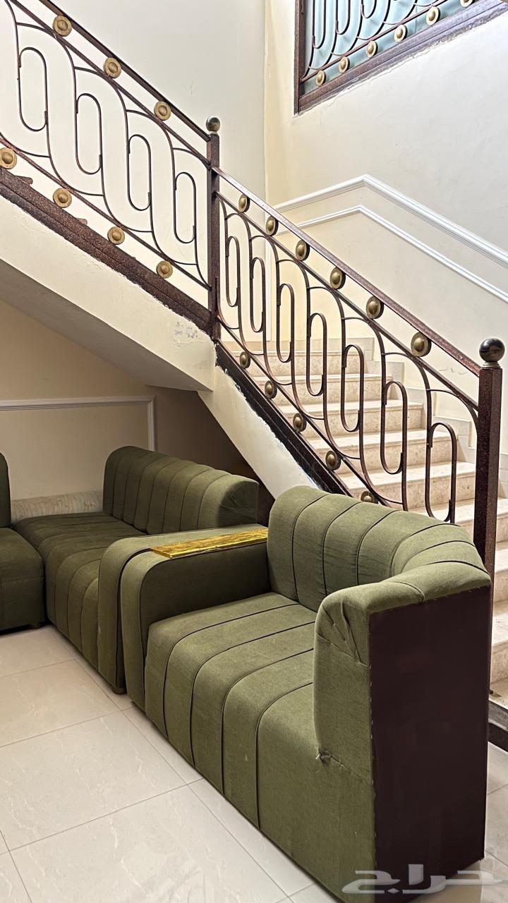 كنب اشلي جديد و نظيف64442979518083111