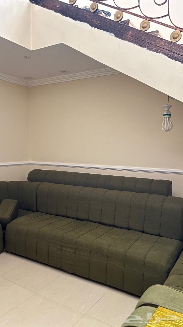 كنب اشلي جديد و نظيف64442979518083110