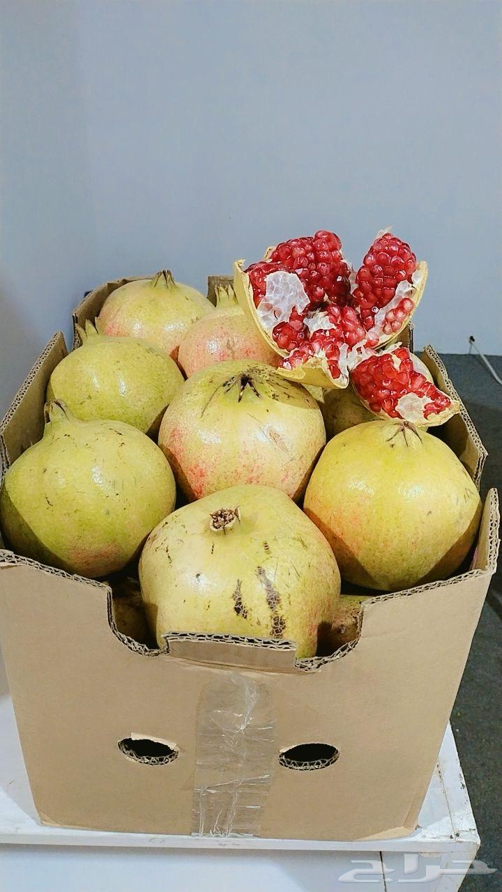 رمان بيده فاخر من الأخر64445296274817110