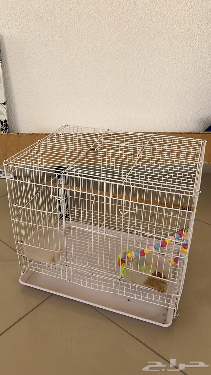 قفص طيور للبيع64446708031491110