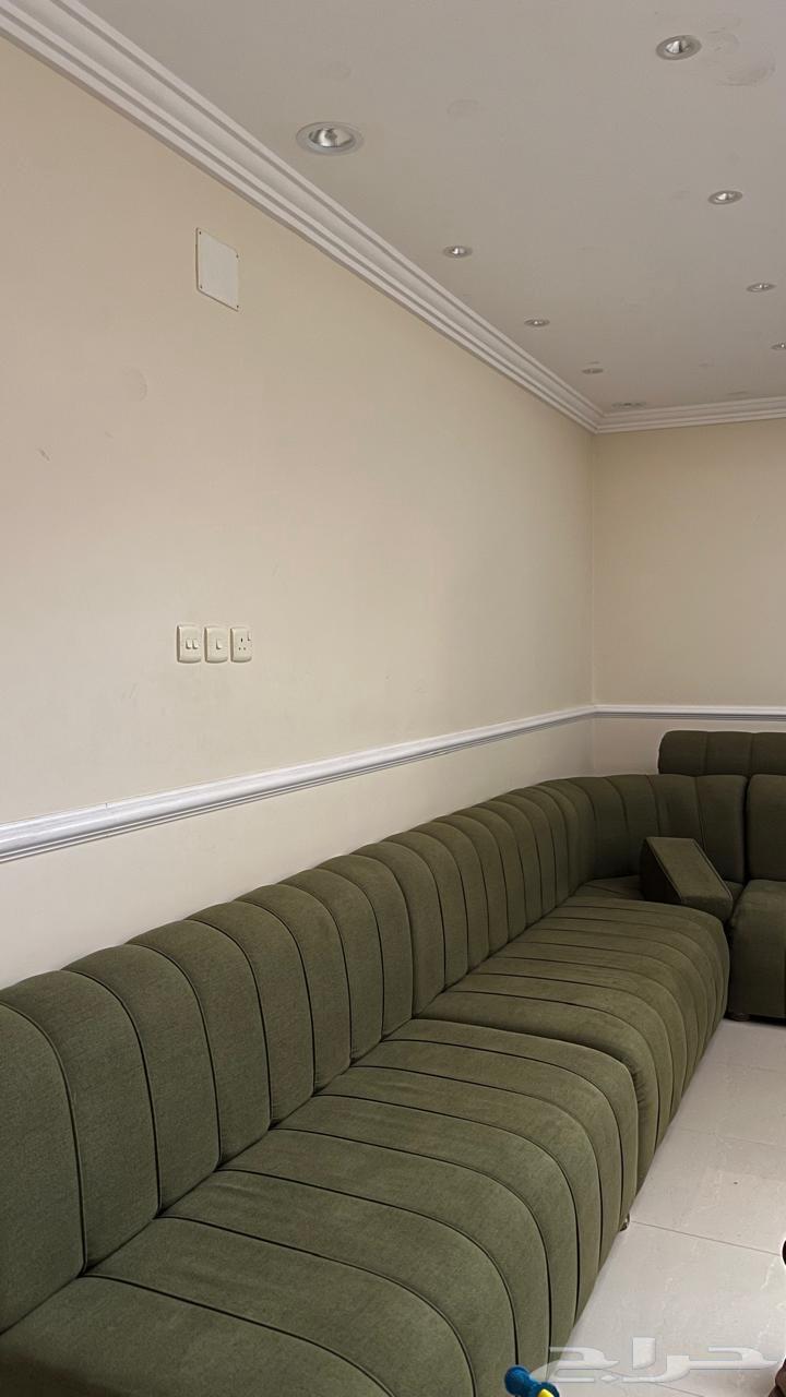 كنب اشلي جديد و نظيف64442979518083112