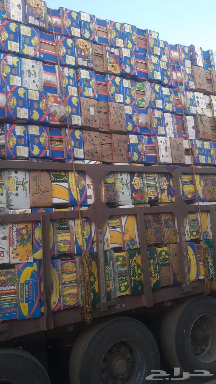 كرتون موز حجم 20 كيلو64447029256193111