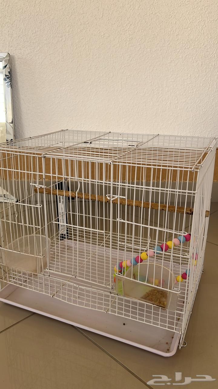 قفص طيور للبيع64446708031491111