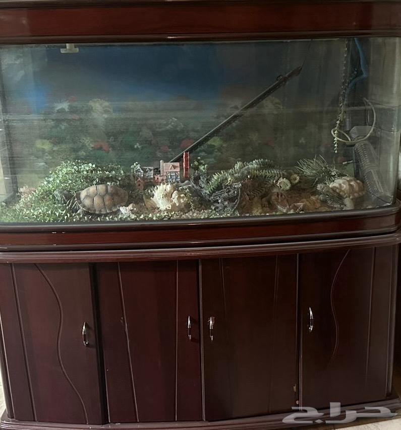 حوض أسماك كبير للبيع64444660632067110