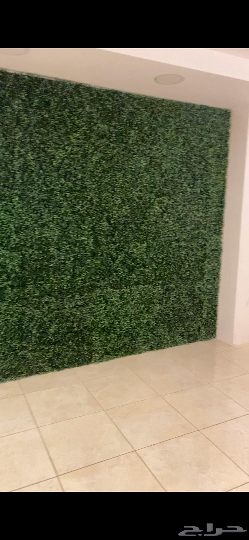 Luxury Artificial Wall Grass, Like New, Two Wooden Boxes for Display Case64443047379971112