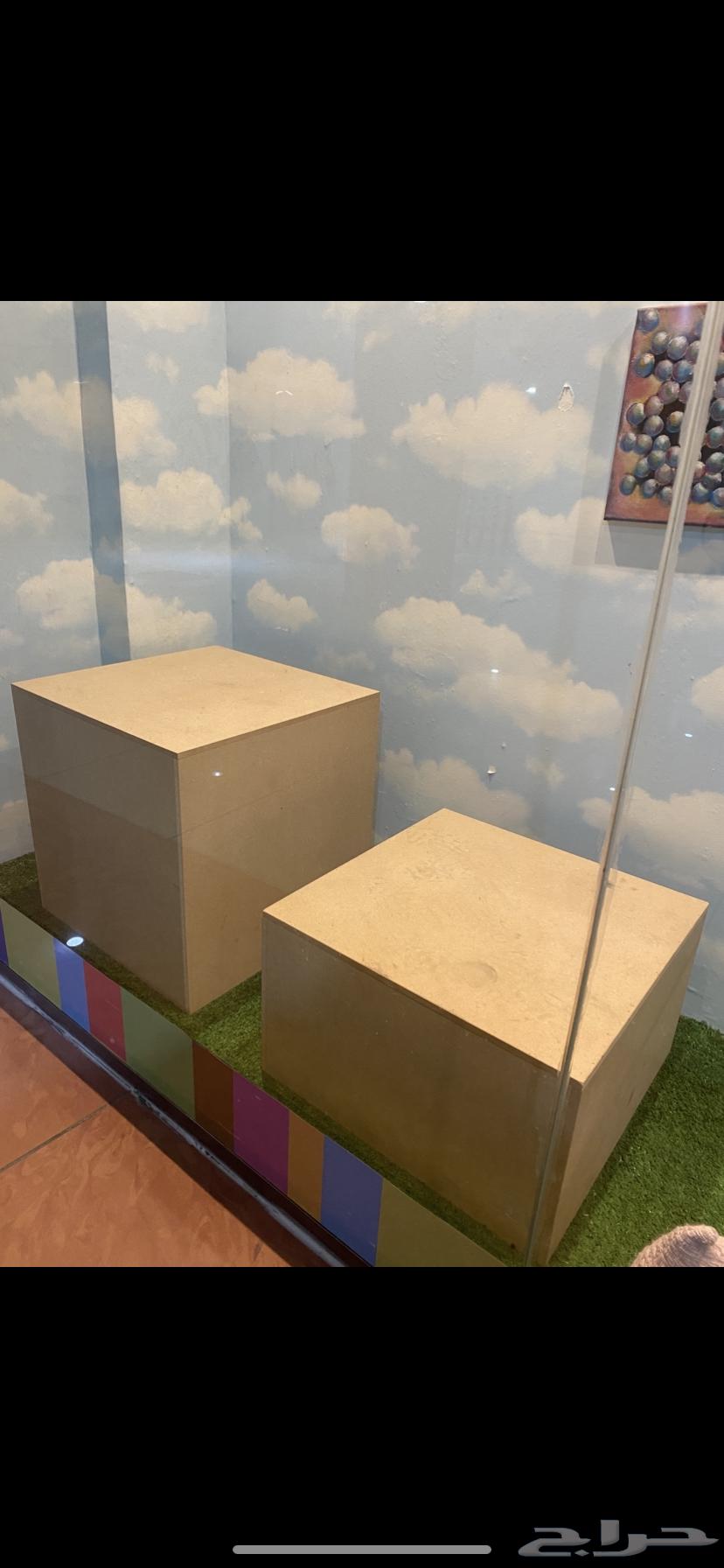 Luxury Artificial Wall Grass, Like New, Two Wooden Boxes for Display Case64443047379971110