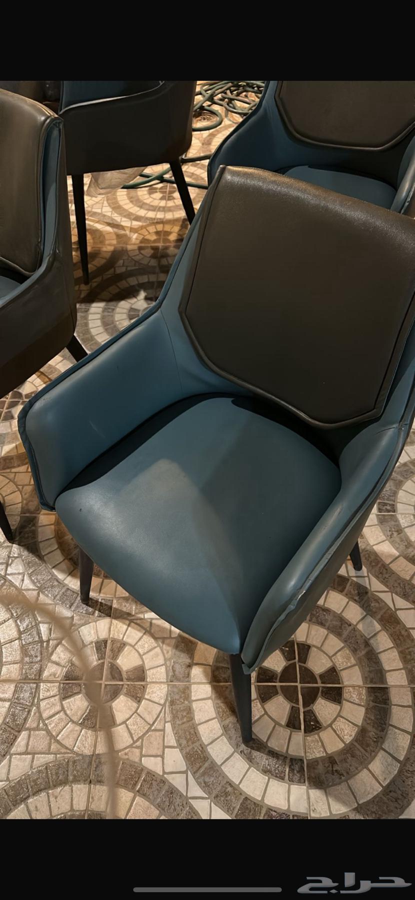 6 كرسي للبيع نظيفه جدا64446896135298110