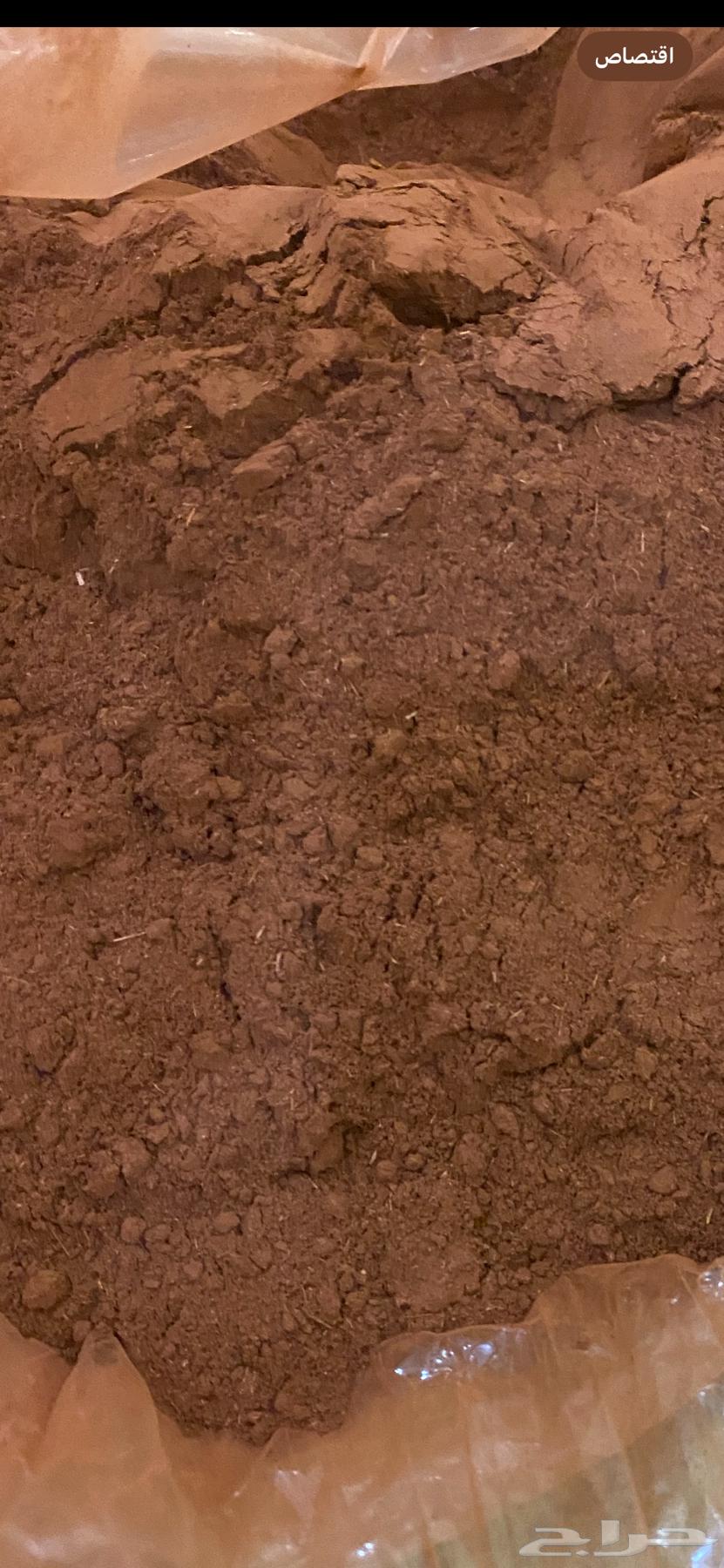 For sale: High-quality henna from Medina, Yanbu Al-Nakhl, with mlukhiyah, sidr, summa, and mishat64444687465474112