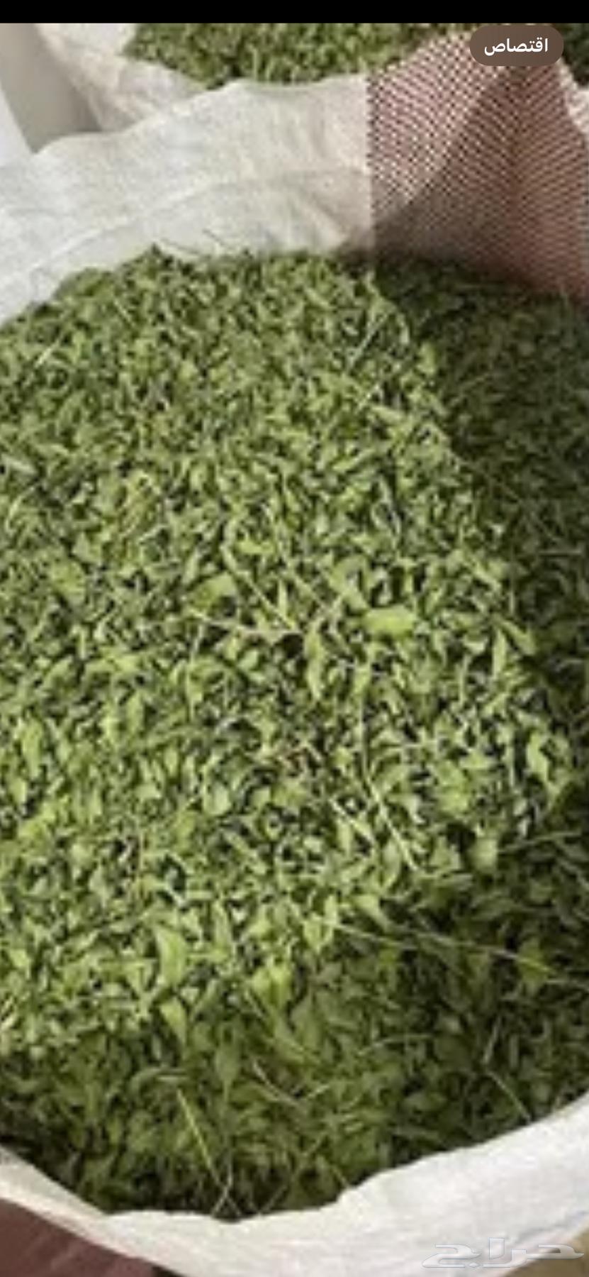 For sale: High-quality henna from Medina, Yanbu Al-Nakhl, with mlukhiyah, sidr, summa, and mishat64444687465474113