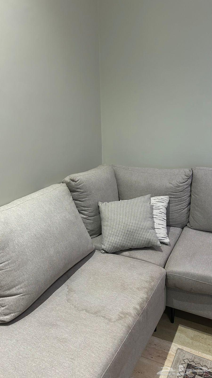 Clean used sofa64448513975938114