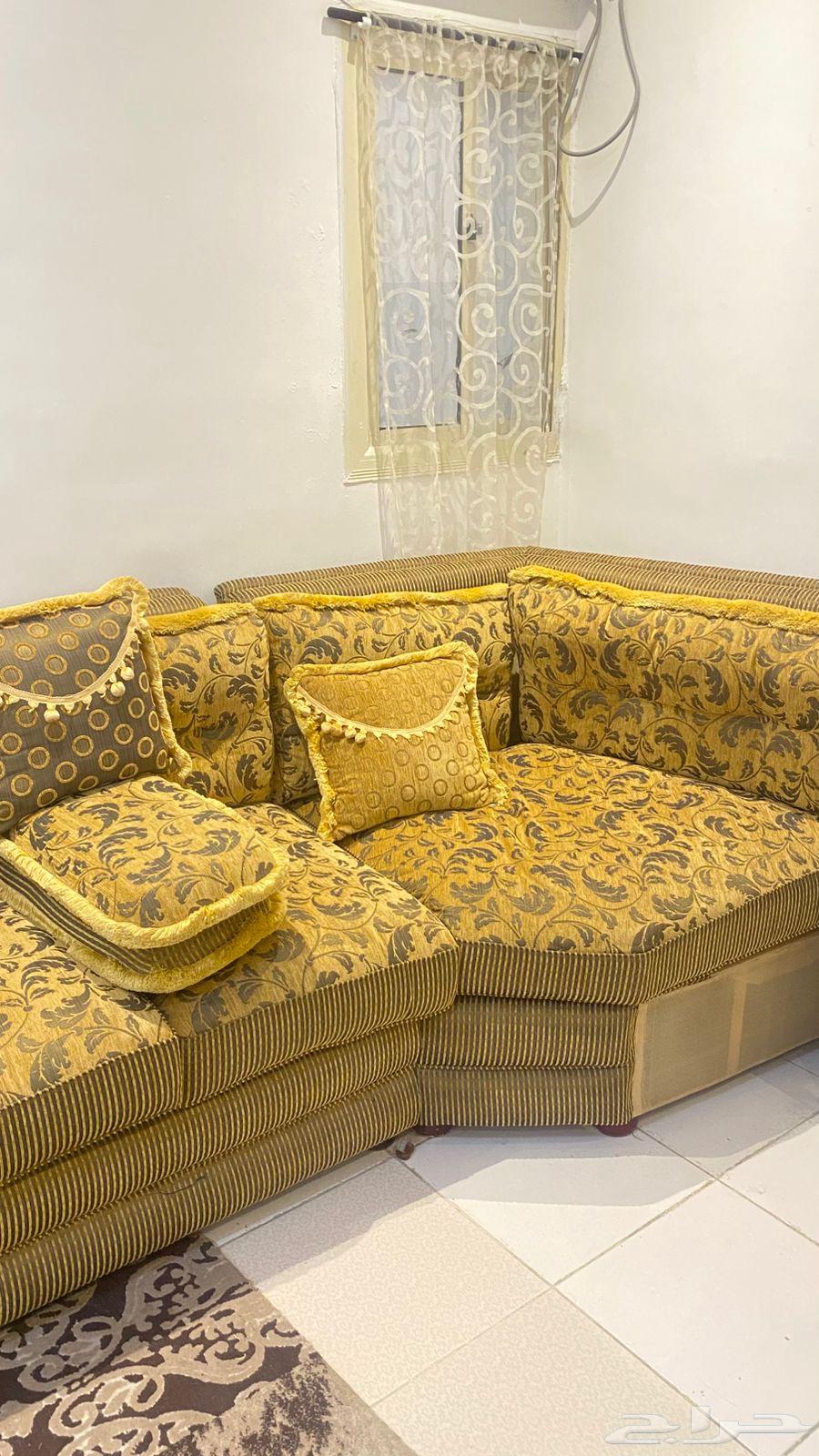 Clean used sofa64443263421825114