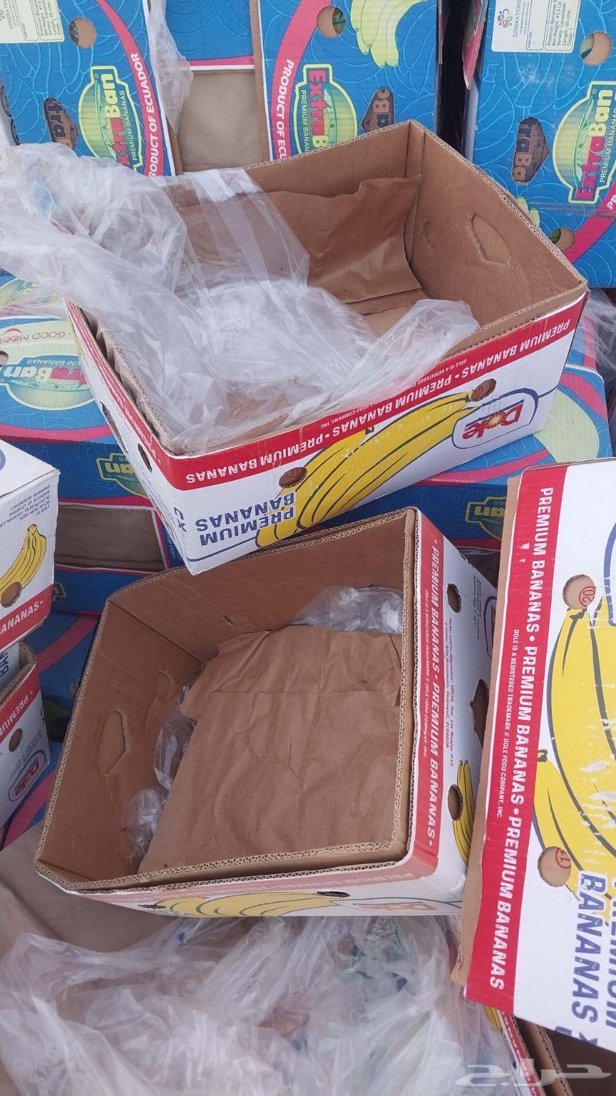 كرتون موز حجم 20 كيلو64447029256193113