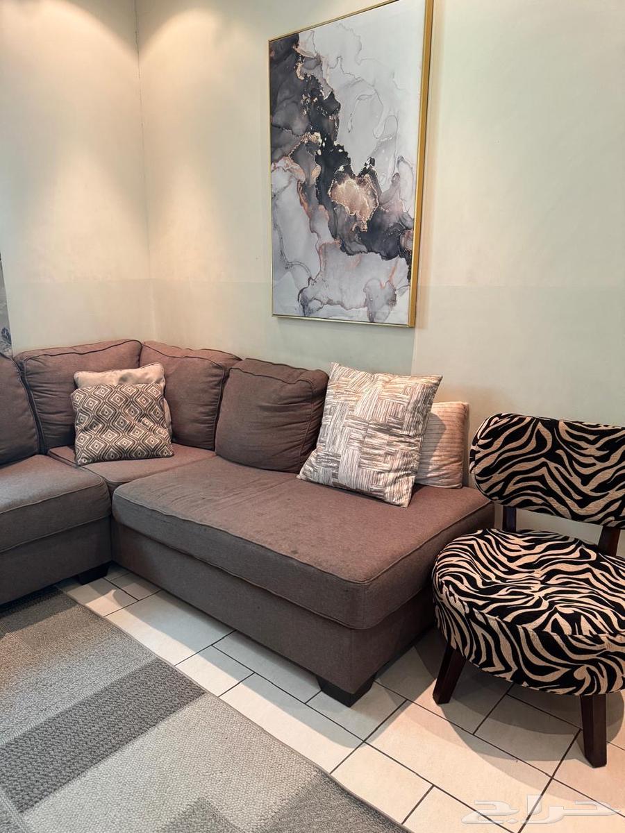 Sofa64444593629698110