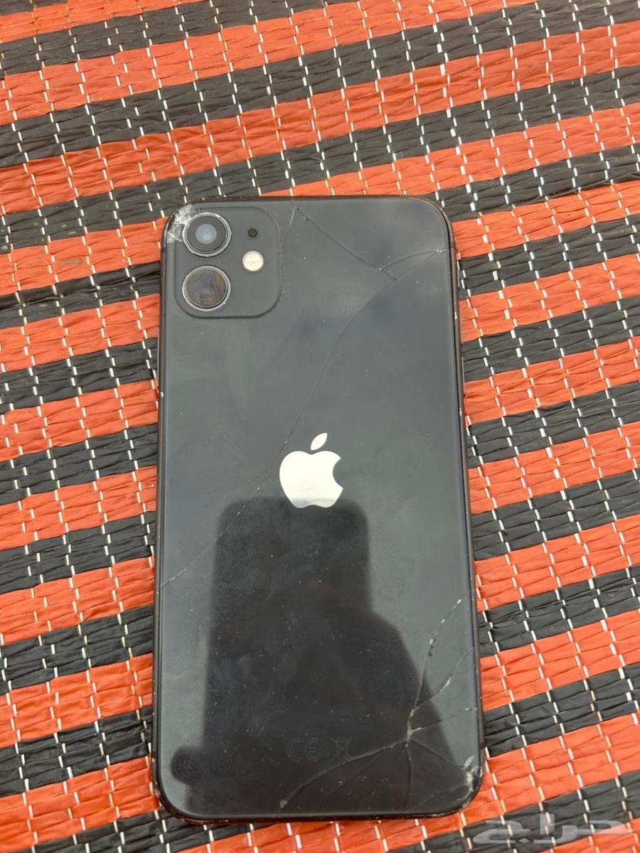 iPhone 11 regular color64446662520066110