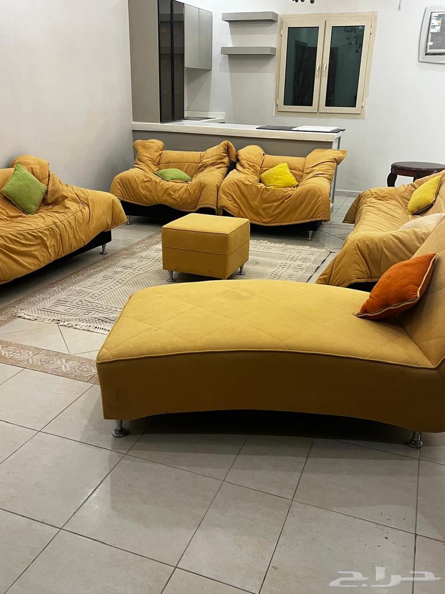 Modern and comfortable sofa64443923543939112