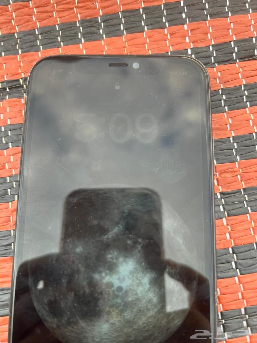 iPhone 11 regular color64446662520066111