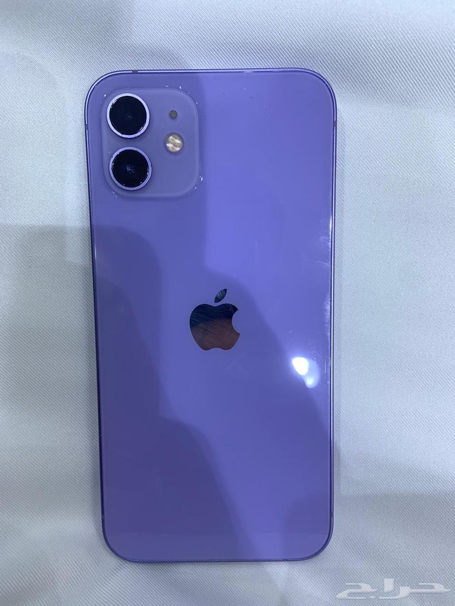 iPhone 12 Regular 12864447732183939111