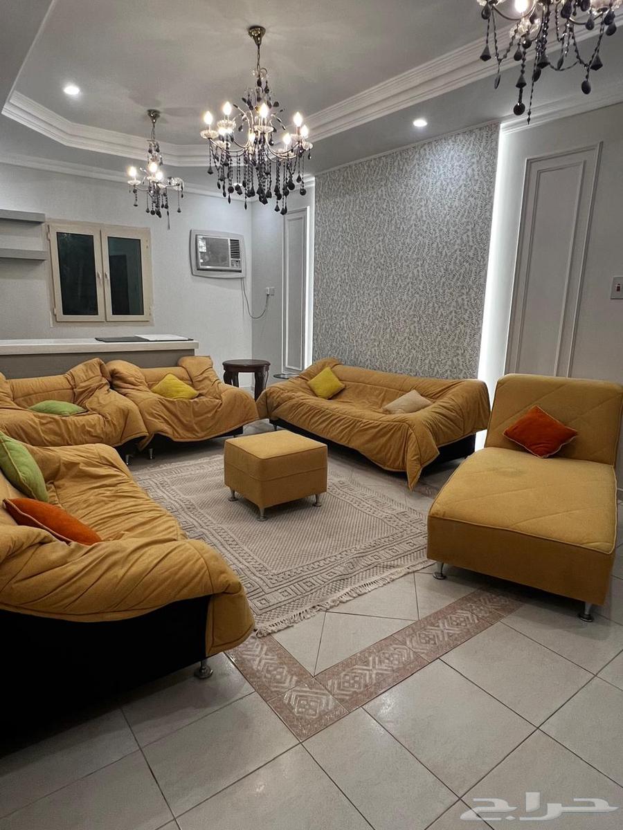 Modern and comfortable sofa64443923543939111