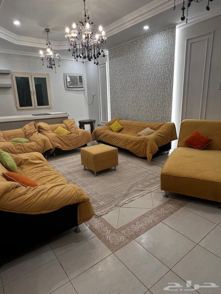 Modern and comfortable sofa64443923543939114