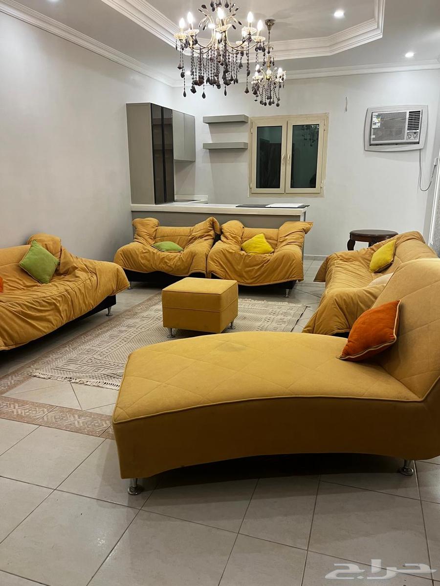 Modern and comfortable sofa64443923543939113