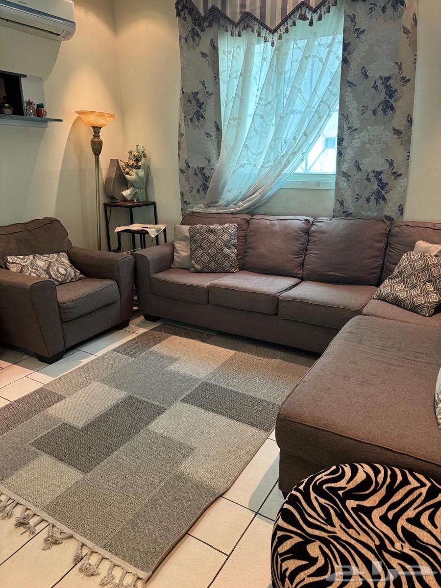 Sofa64444593629698112