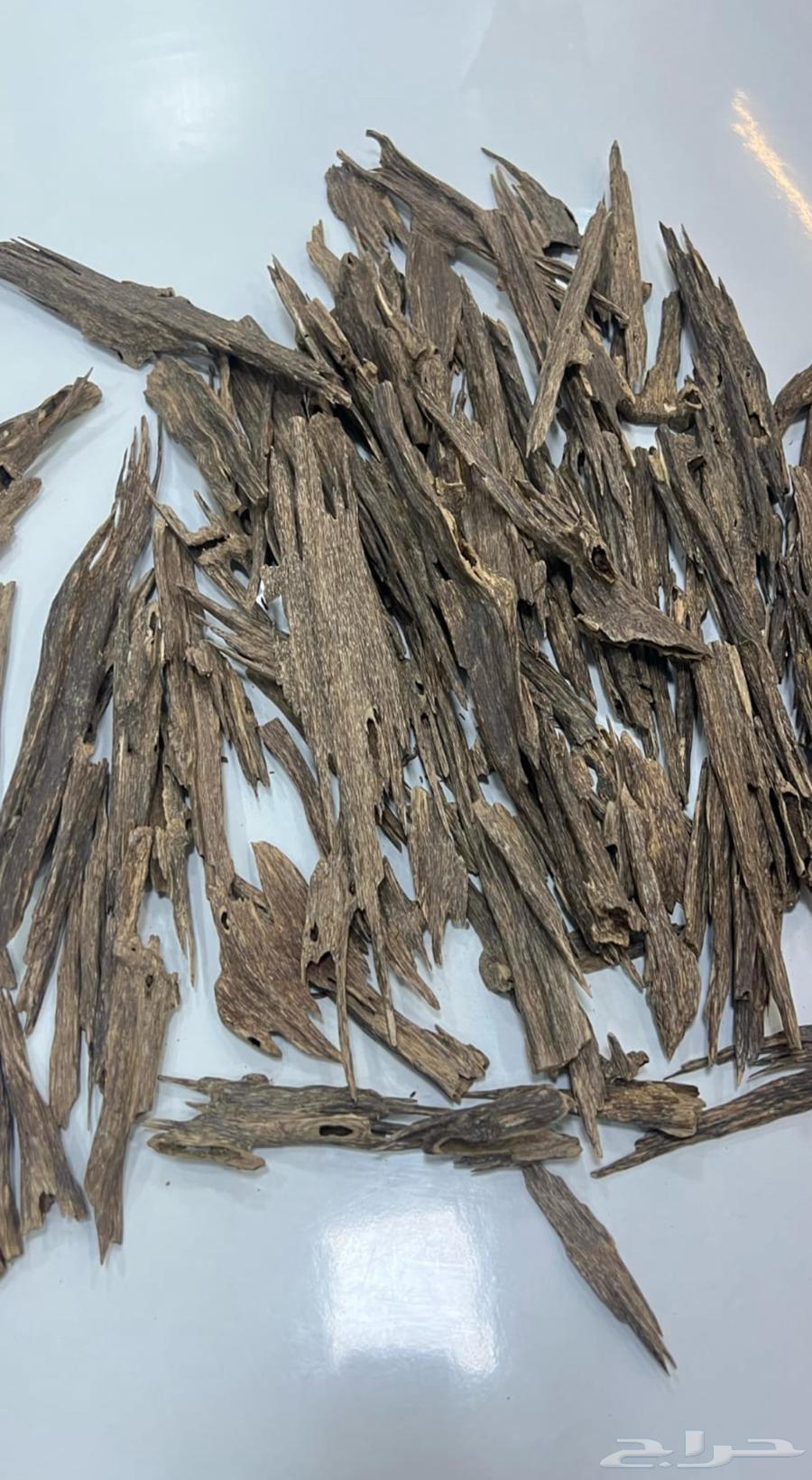 عود هندي طبيعي زورا فاخر نجلاندي موري فاخر64441444954755113