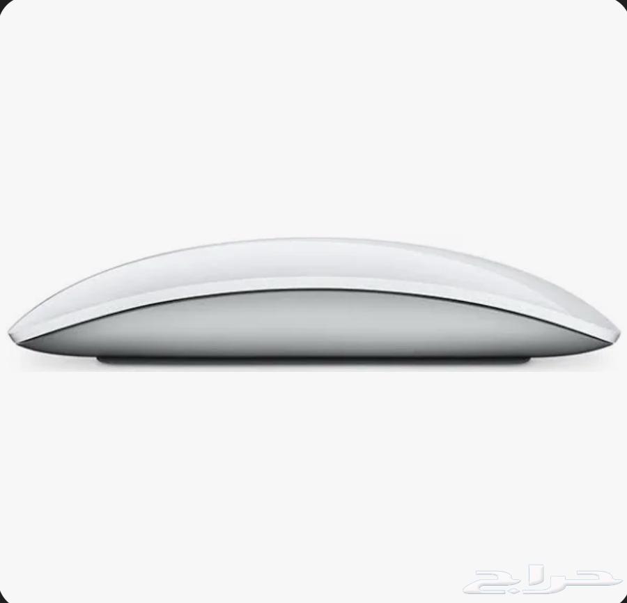 Apple Mouse64453202144002110
