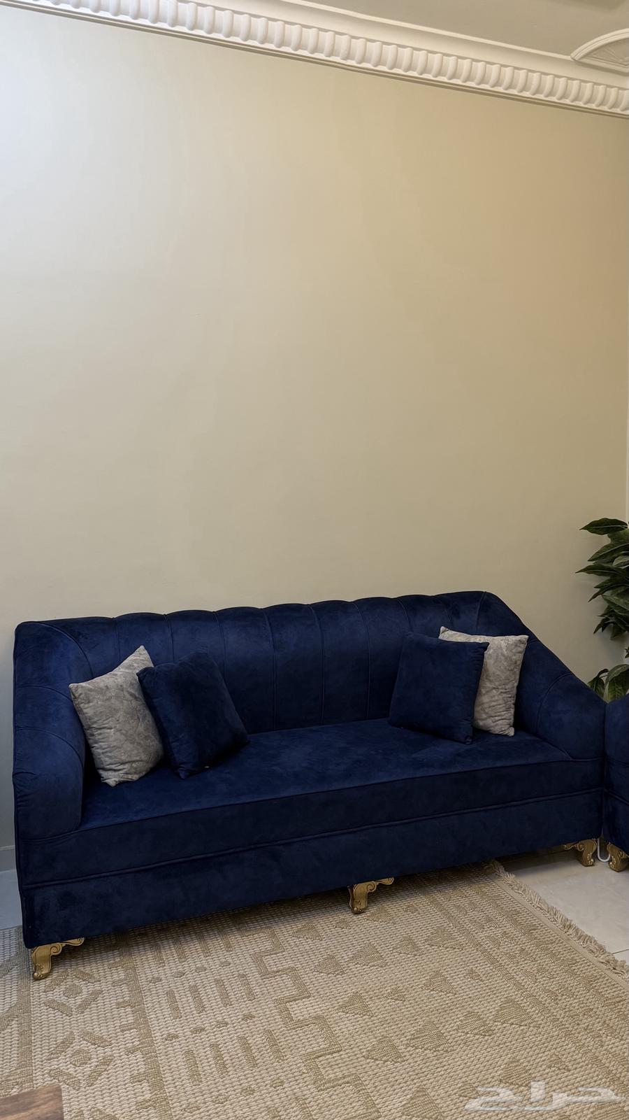 كنب منفصل مخمل   زوليه64454619043843113