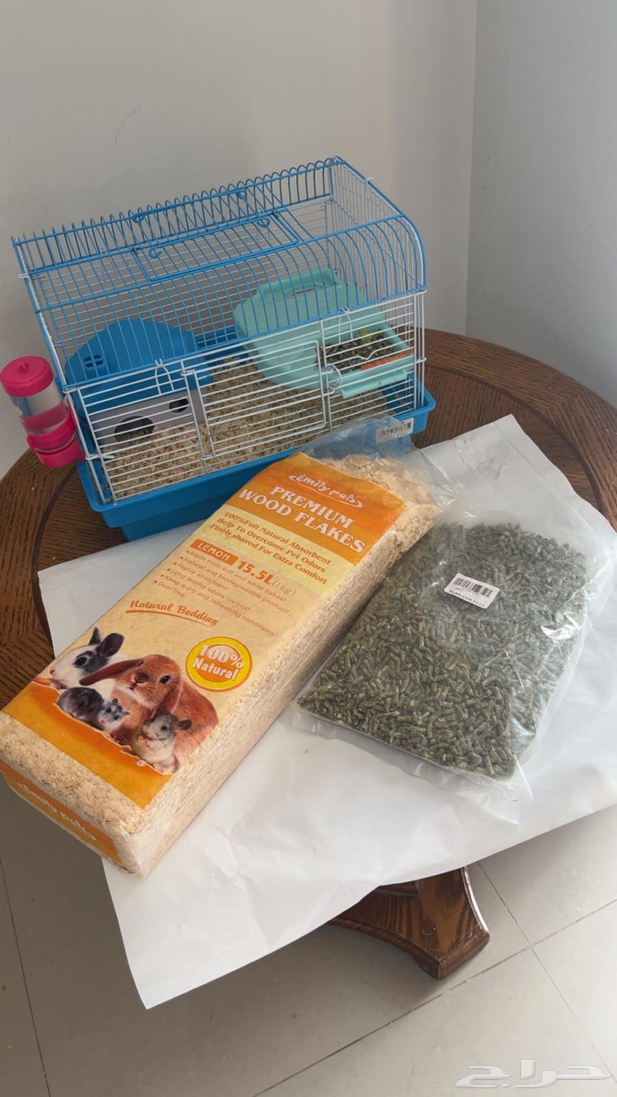 زوج هامستر اليف للبيع64453202001666112