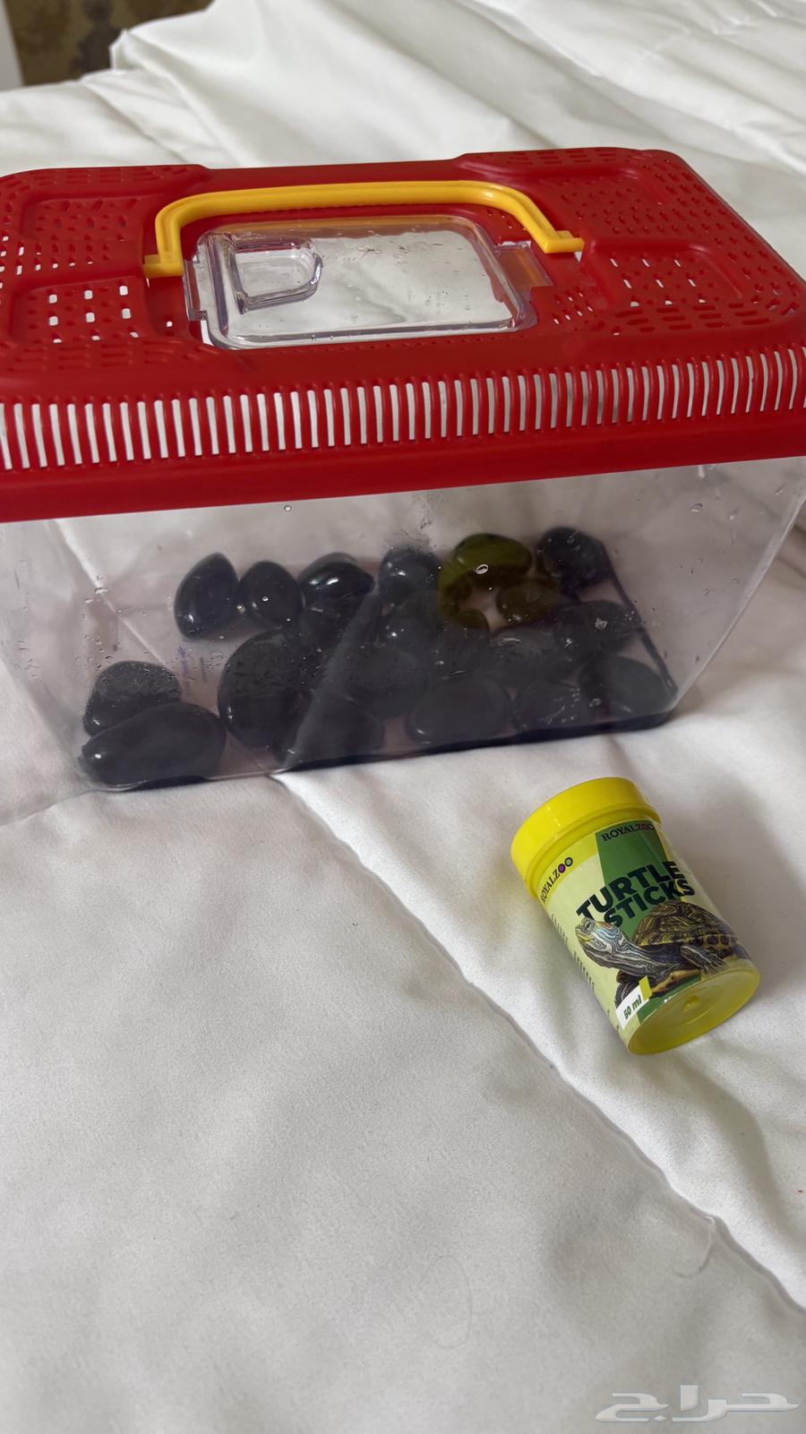 بيت حيوانات (حوض سلحفاه او سمك ) واكل64454619083266112