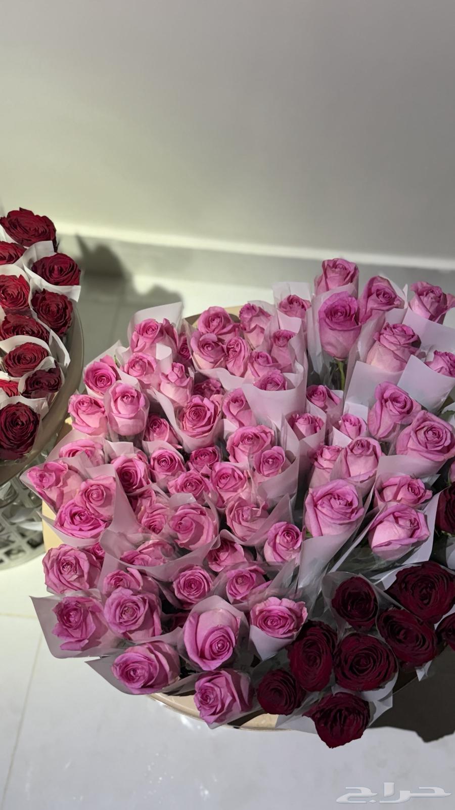 توزيعات ورد للمناسبات   ورد طبيعي بالجمله64454222116482113