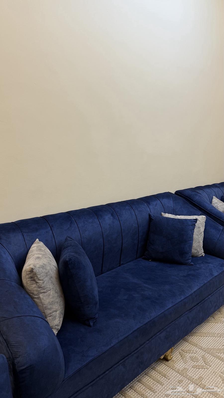 كنب منفصل مخمل   زوليه64454619043843112