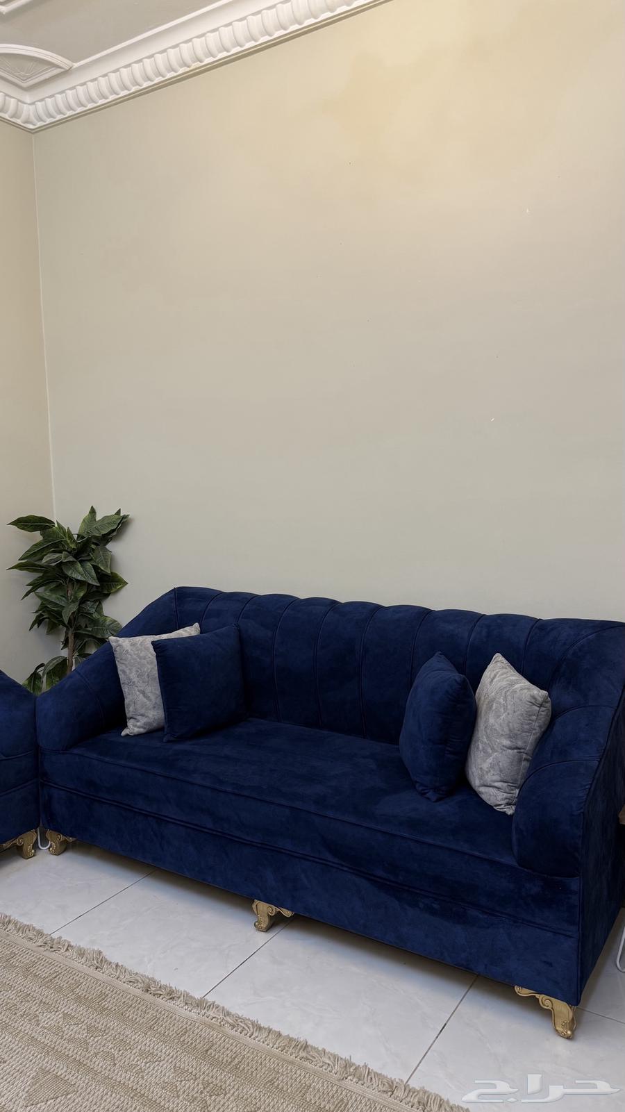 كنب منفصل مخمل   زوليه64454619043843111