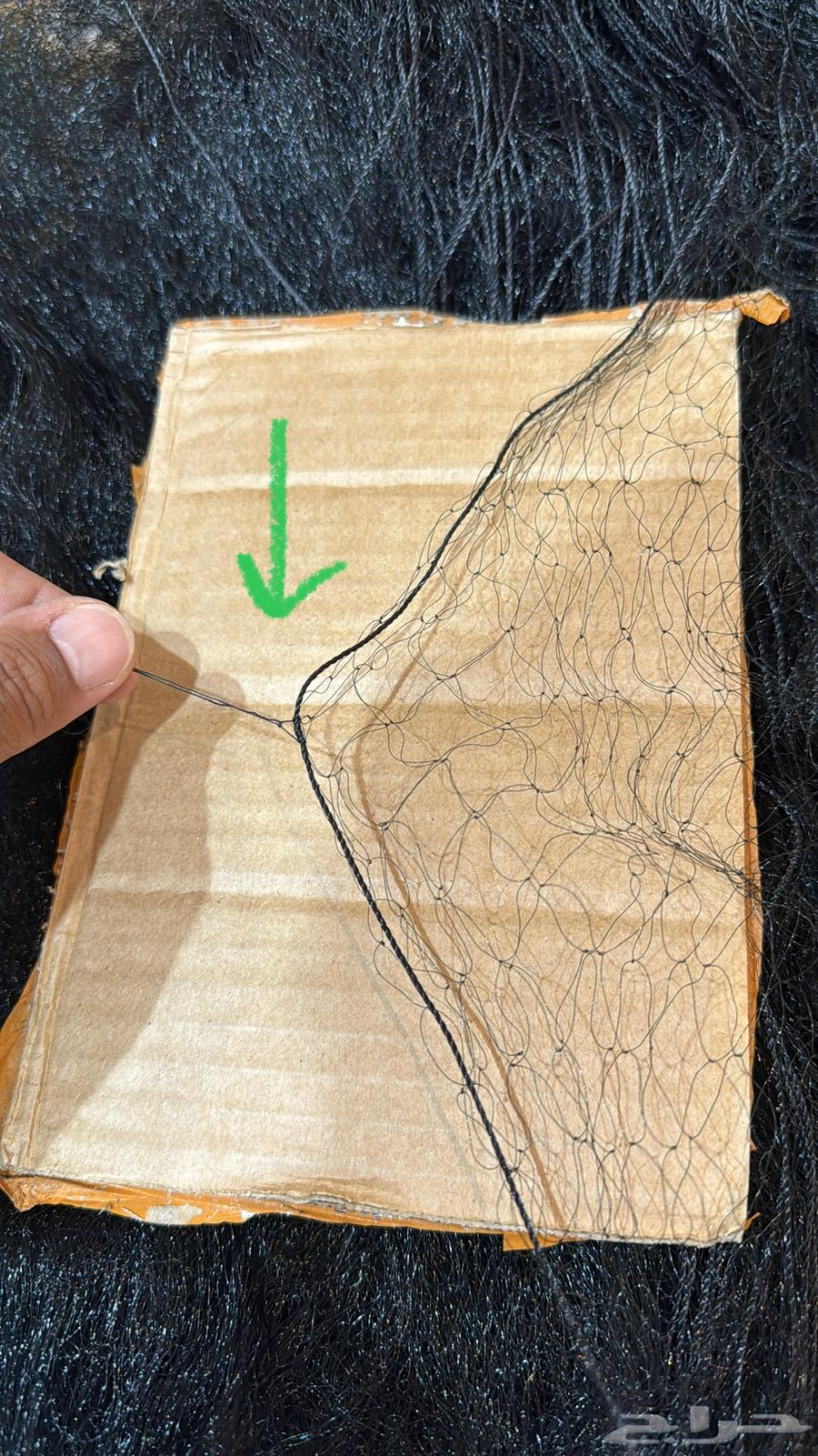 شبك طيور نايلون64444271669121112