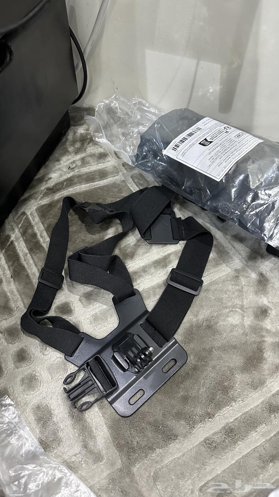 Portrait stand back and head64451686394625114