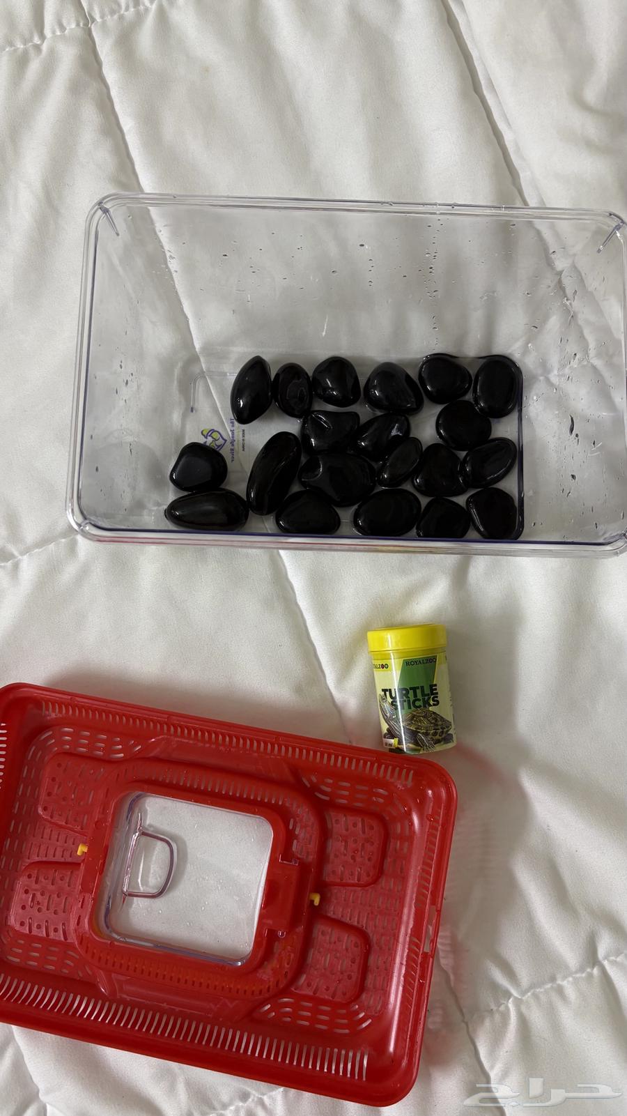 بيت حيوانات (حوض سلحفاه او سمك ) واكل64454619083266111