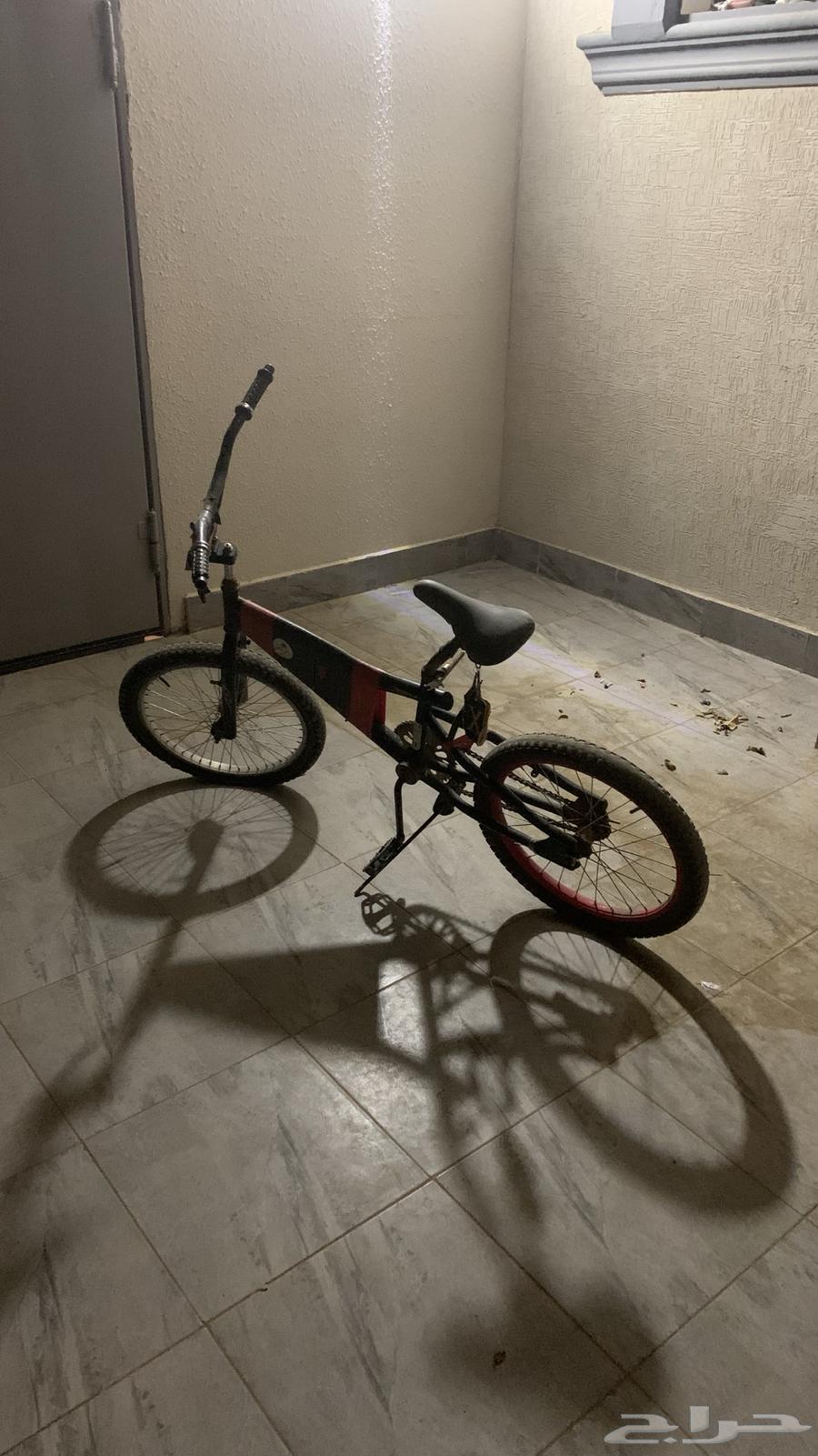 للبيع سيكل كوبرا64455604252931110