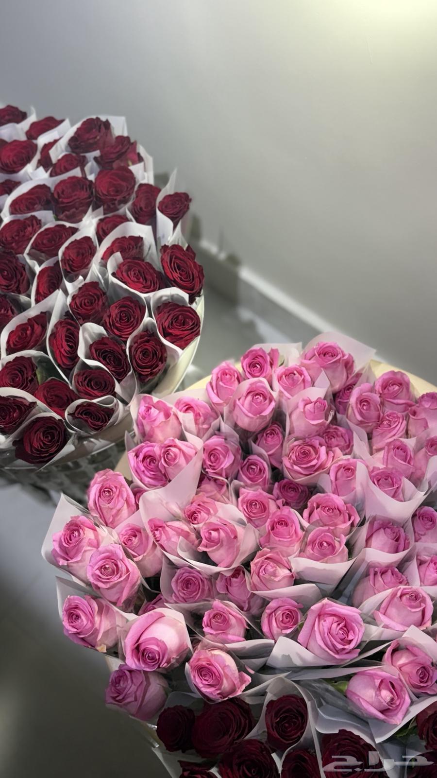 توزيعات ورد للمناسبات   ورد طبيعي بالجمله64454222116482110