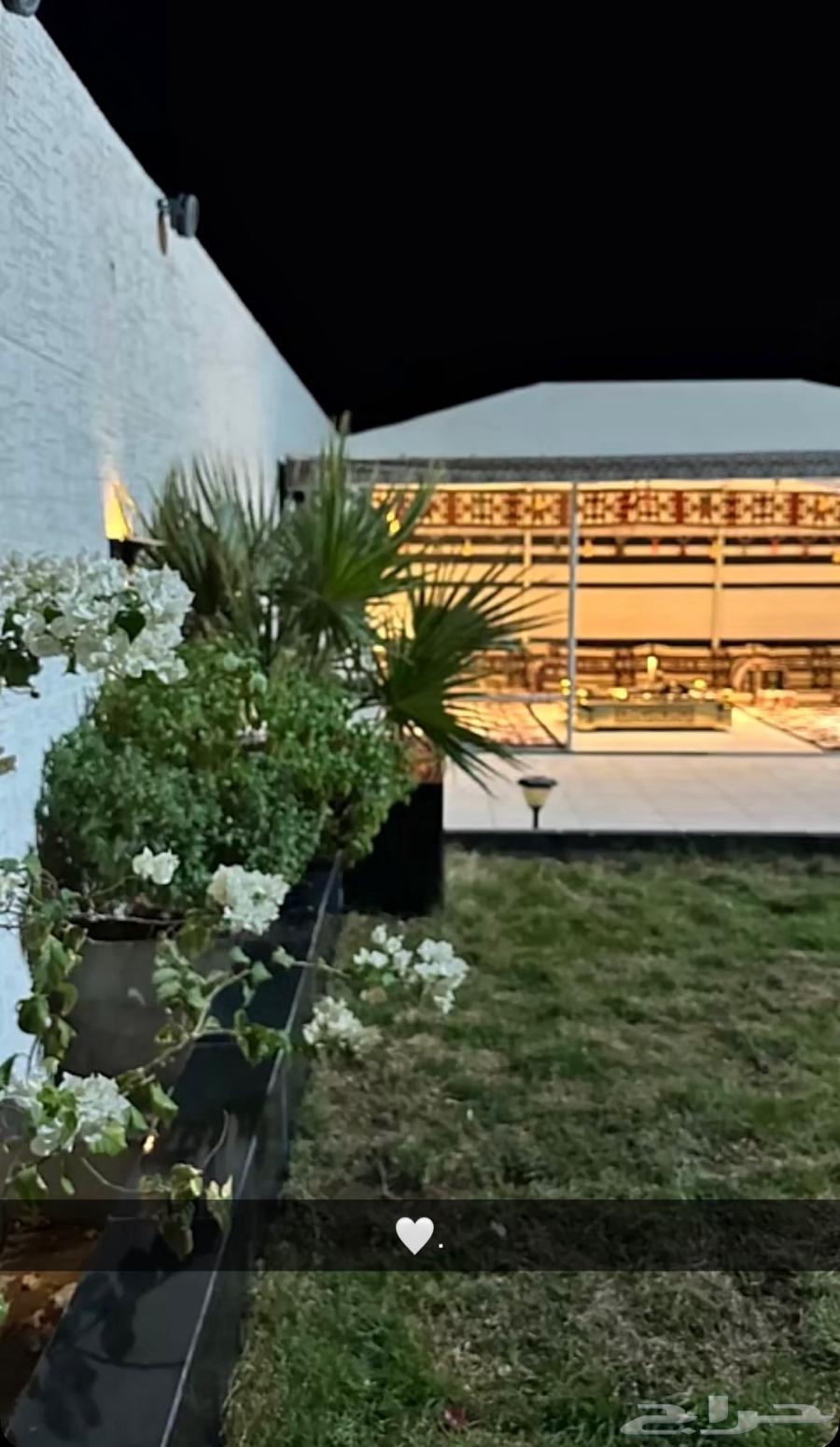 عرض يوم الوطني. بيت شعر ملكي بدون اطناب.64450758224513113