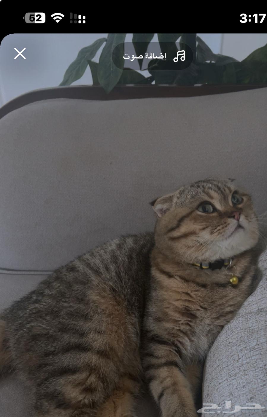 Scott Fold64453106762115110