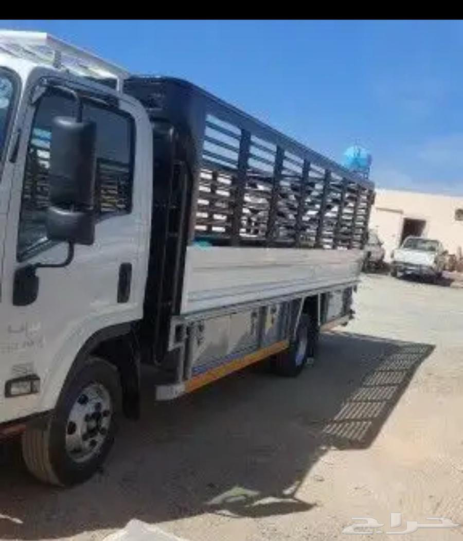 دينه للإيجار دنه للإيجار مشاوير64451029410050111