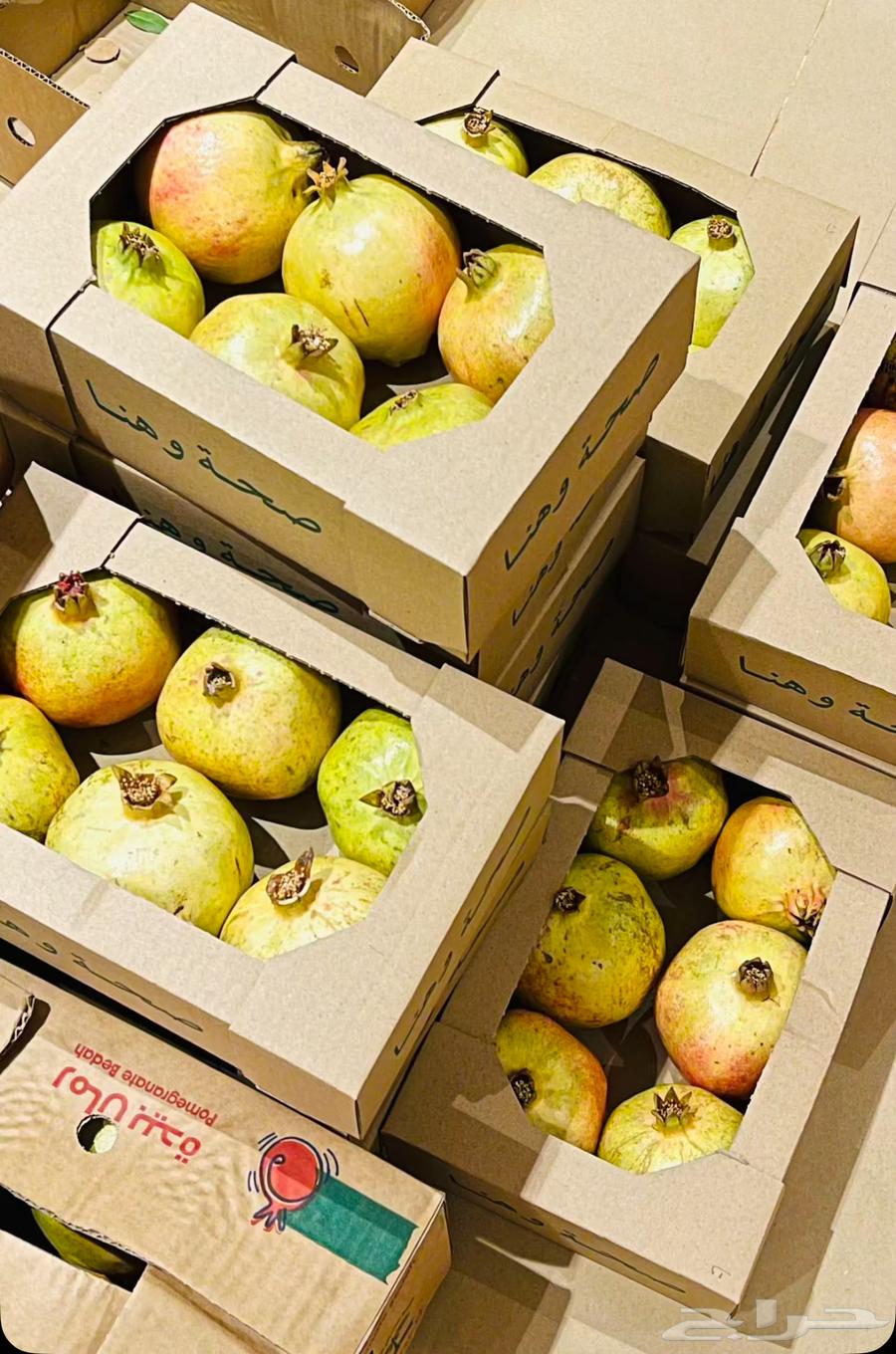 رمان بيده وصل الرياض64450421815939111