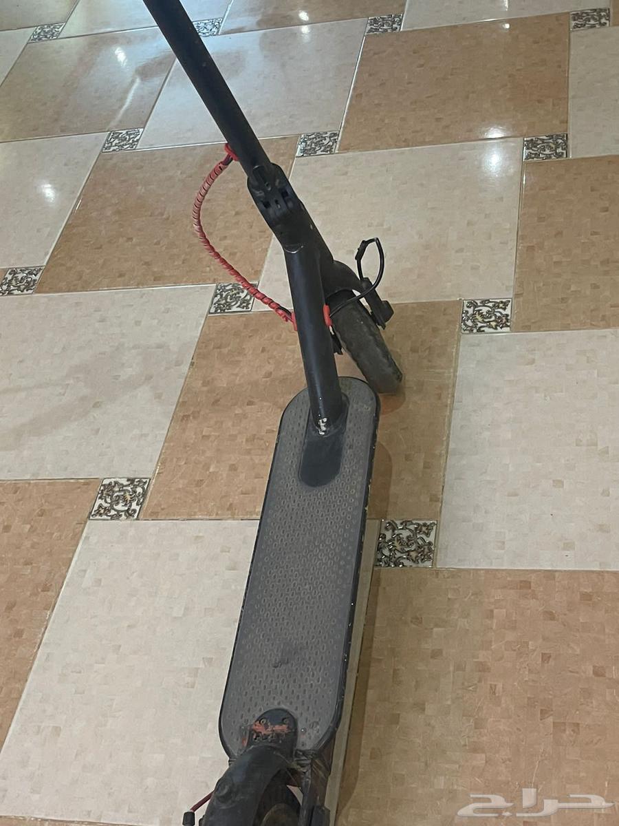 سكوتر كهربائي للبيع64428349532546113
