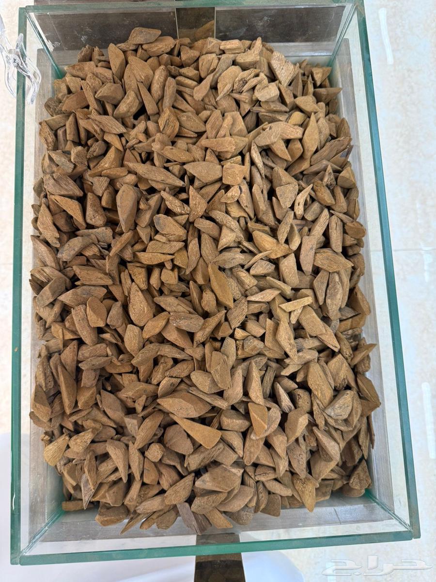 عود مروكي زين (جملة) يوجد خصم للكميات64450251533953110