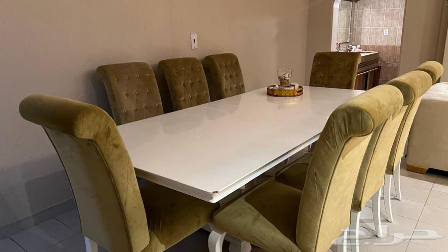 Midas dining table with 8 chairs64456599181443111