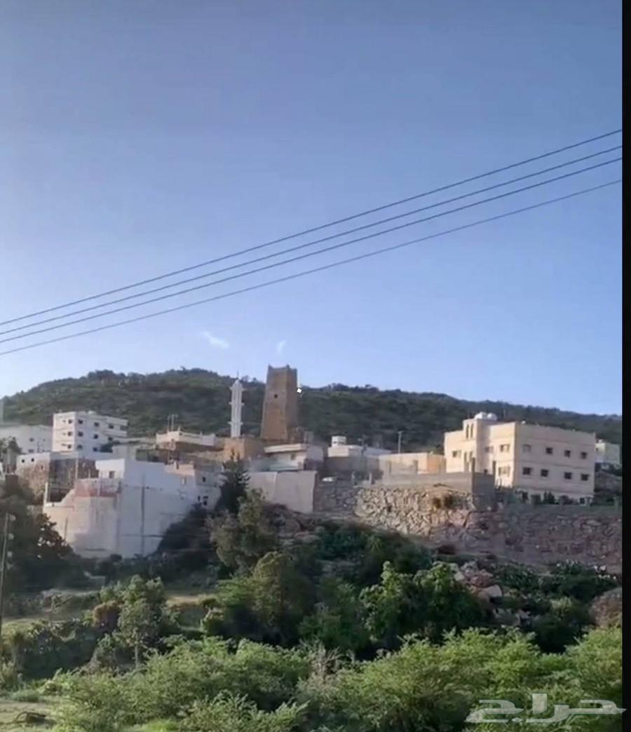 رحلات استجمام بمدينة النماص وفرصه للكسب المادي لمن اراد64618301872641112