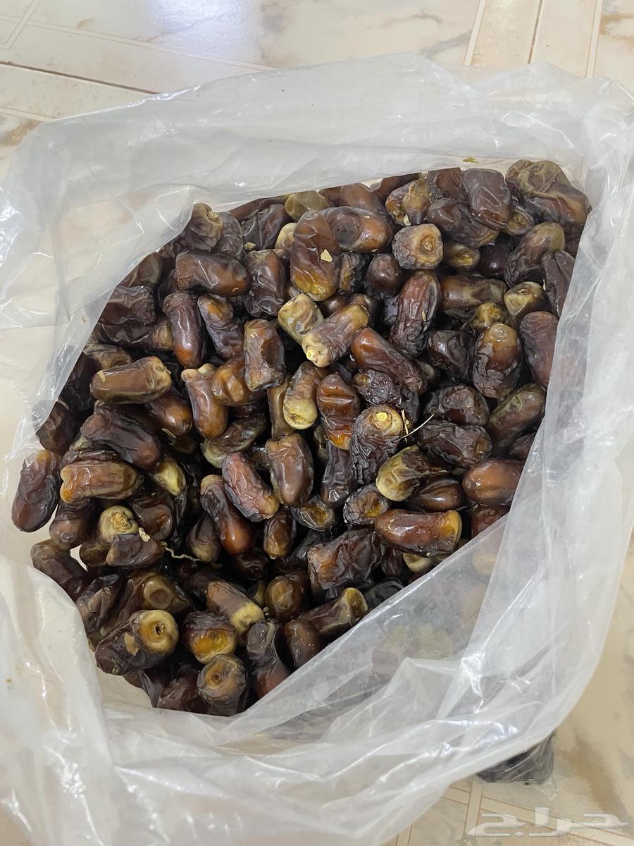 للبيع برني64453806468737110