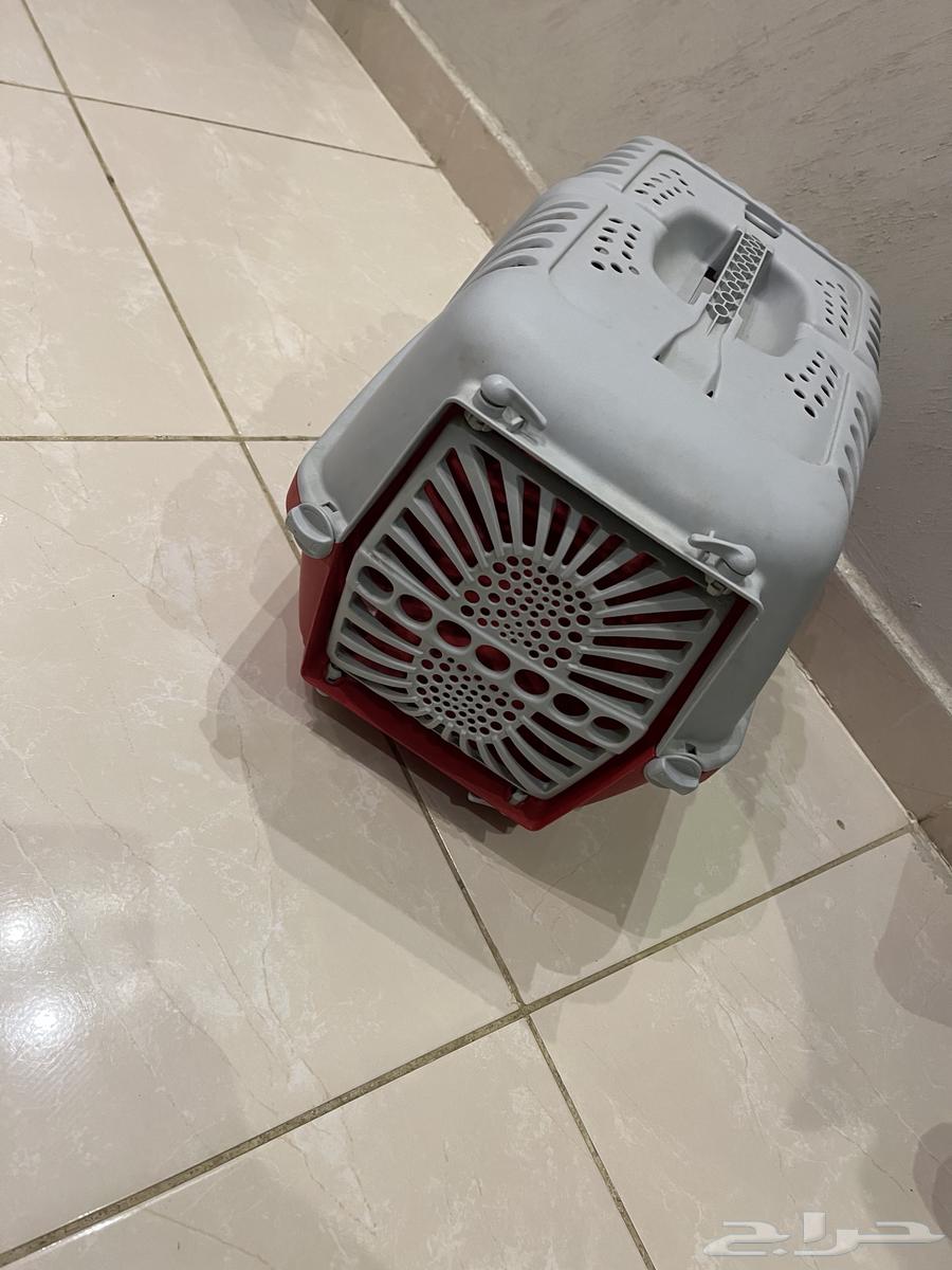 بيت القطط64456199372930111